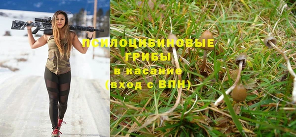 молекула духа Алзамай