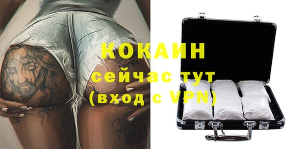 прущие грибы Абаза