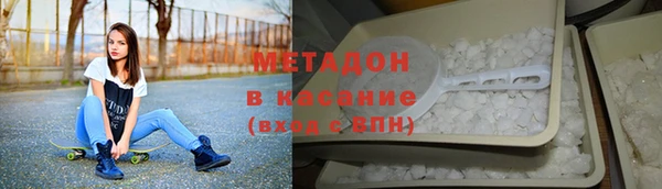 прущие грибы Абаза