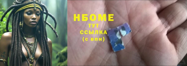 прущие грибы Абаза
