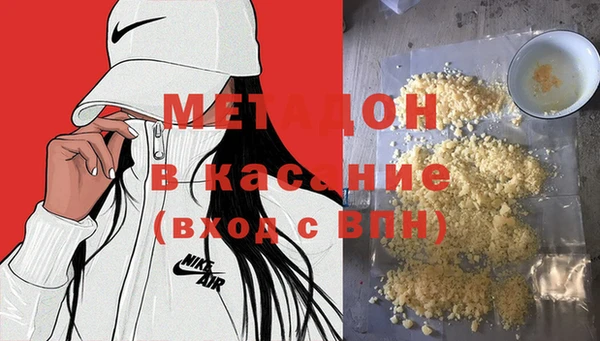 прущие грибы Абаза