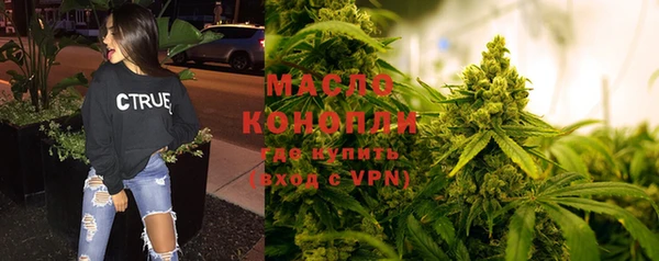 прущие грибы Абаза