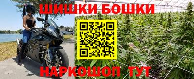 СК Донецк