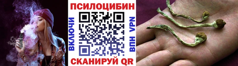 Галлюциногенные грибы Psilocybe  Татарск 