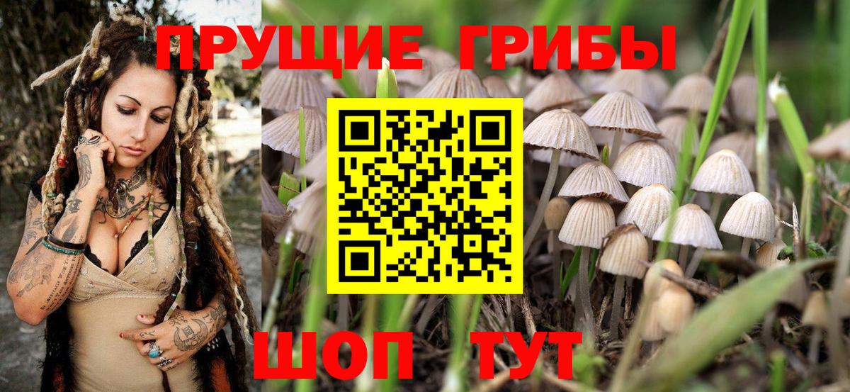 Галлюциногенные грибы GOLDEN TEACHER Татарск