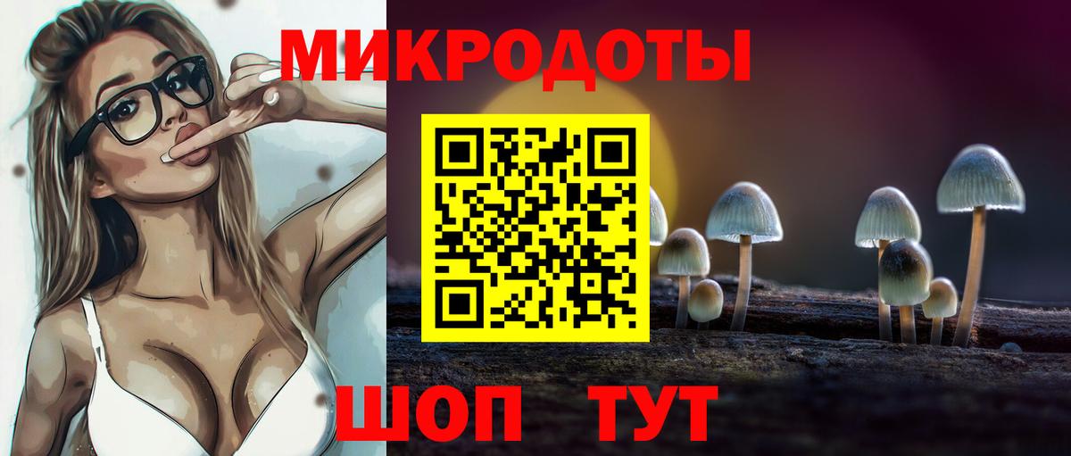 Татарск  Псилоцибиновые грибы Psilocybine cubensis  Вход с VPN 